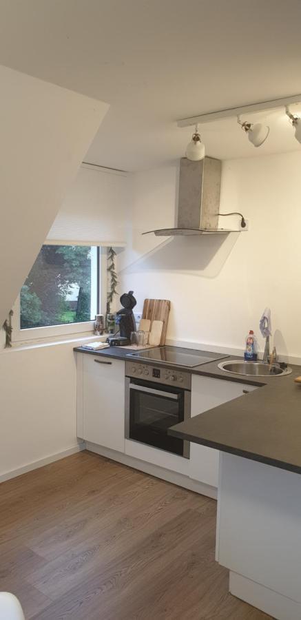 Frisch Renoviert Mit Dachterrasse - Geniesse Ruhe Und Grun Nahe Neustadt Aisch Neustadt an der Aisch Exterior foto